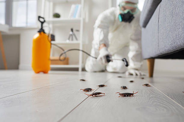 Commercial Kitchen Cockroach Control in Leisure Village East